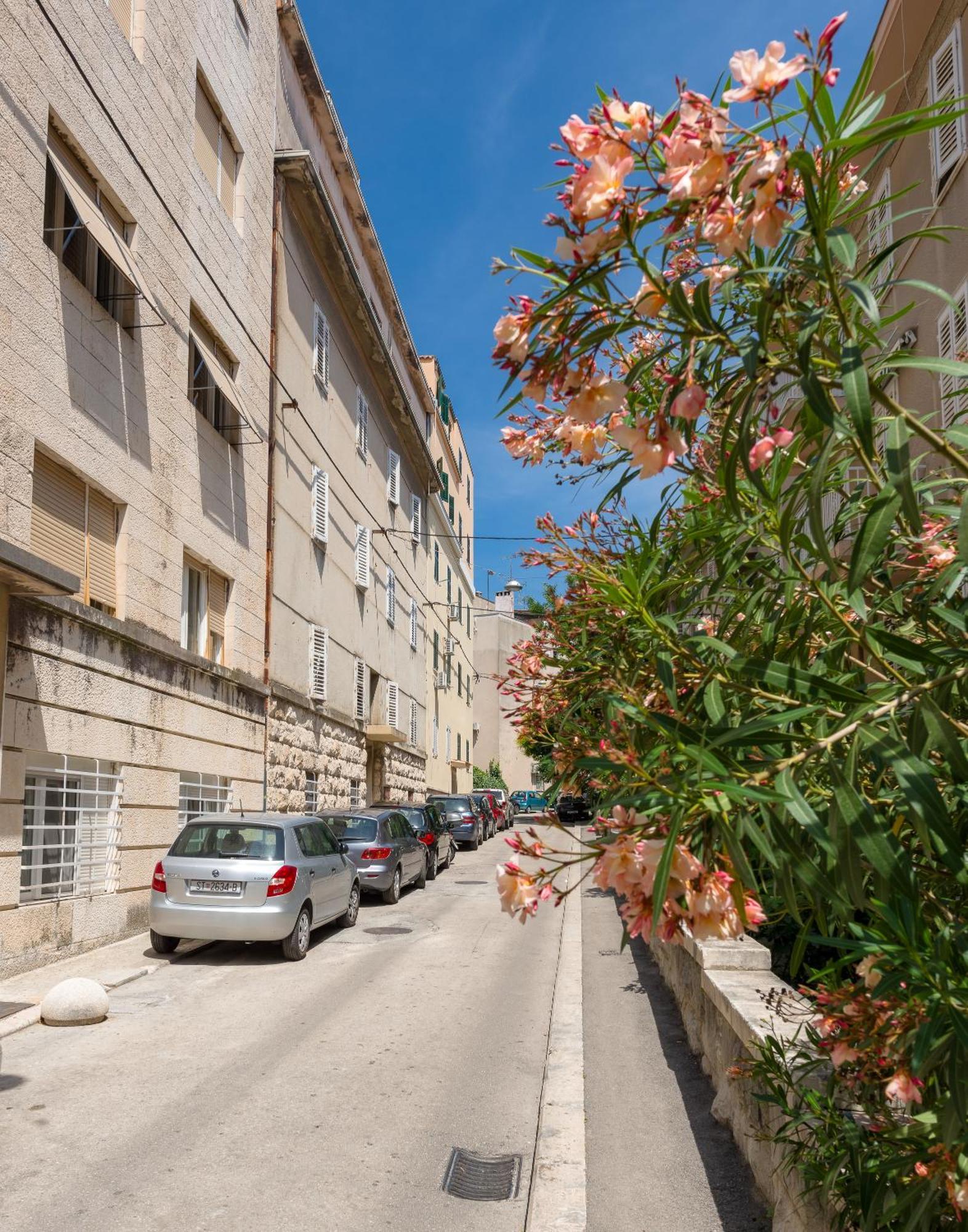 Luxury Rooms And Apartment Silente Bacvice سبليت المظهر الخارجي الصورة